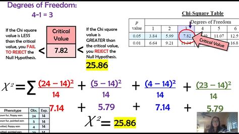 how to do chi square test genetics hard|chi squared past paper questions.